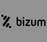 bizum
